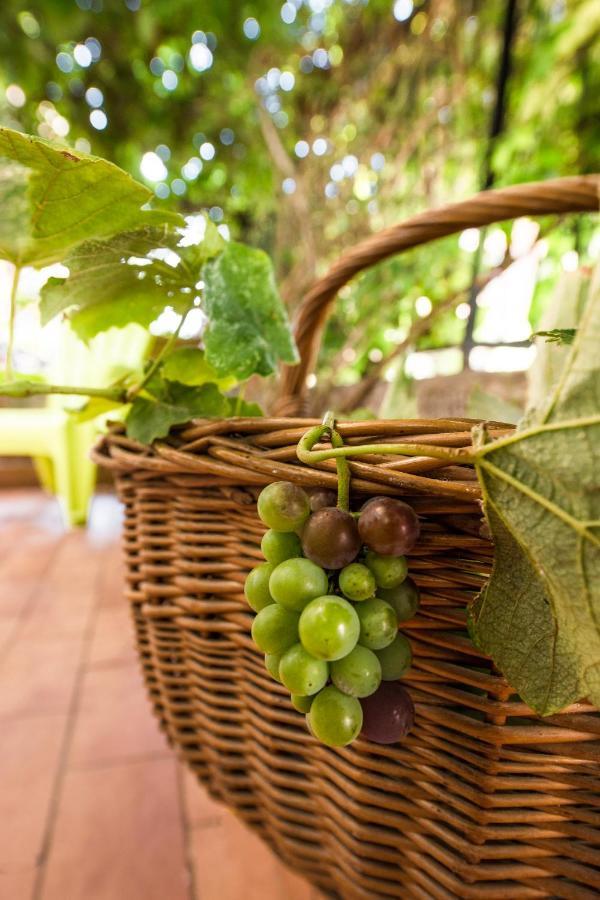 La Casa Di Sara A Mondello Apartment Ngoại thất bức ảnh